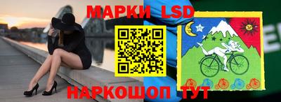 прущие грибы Гатчина
