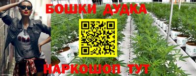 MDMA Гай