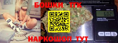 прущие грибы Гатчина