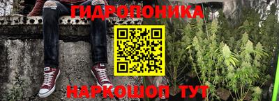 ПСИЛОЦИБИНОВЫЕ ГРИБЫ Гагарин