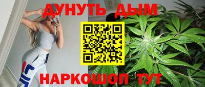 прущие грибы Гатчина