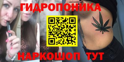 прущие грибы Гатчина