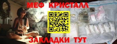 прущие грибы Гатчина