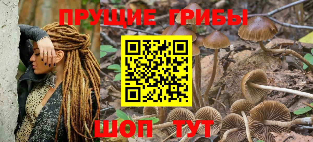 Галлюциногенные грибы мухоморы  Вход с VPN  Киселёвск 