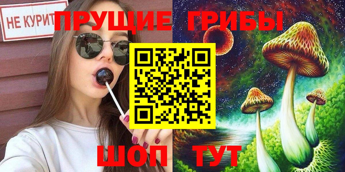 Галлюциногенные грибы Psilocybine cubensis Киселёвск